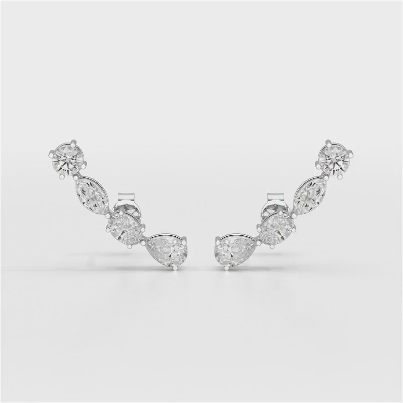 0.39 CT Lab Diamond Multi shape Earring